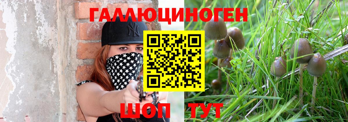 Псилоцибиновые грибы GOLDEN TEACHER Шебекино